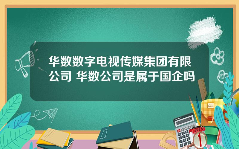 华数数字电视传媒集团有限公司 华数公司是属于国企吗